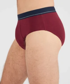 Lot de 3 slips fermés coton biologique majoritaire