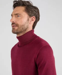 Pull classique col roulé